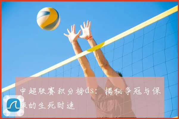 中超联赛积分榜ds:揭秘争冠与保级的生死时速