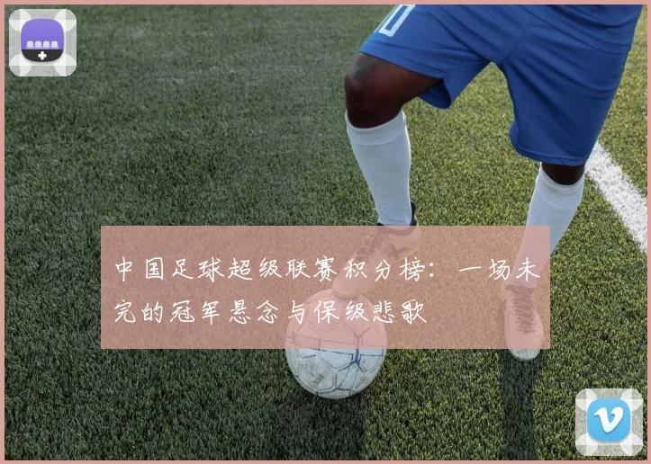 中国足球超级联赛积分榜：一场未完的冠军悬念与保级悲歌
